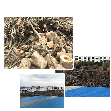 ��ľ�ۼӹ��S(ch��ng)