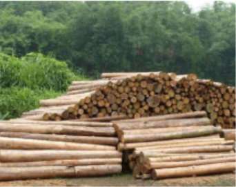 ˮ����ͬ���ľ�ĵ�Ӱ�