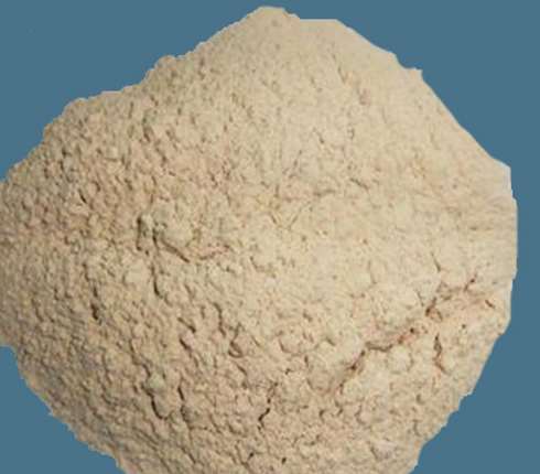 �sľ�۵ı�eҪ������Щ