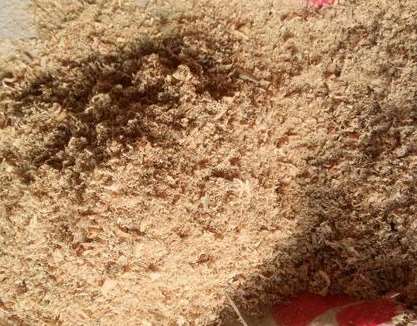 ��ľ�۵��x�Ø�(bi��o)��(zh��n)��B