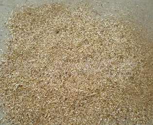 ��ľ�ۃr������ʲô�Q����