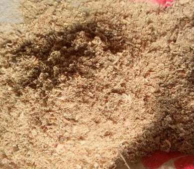 ��ľ�۵�Ʒ�|(zh��)�Д��ֶν�B