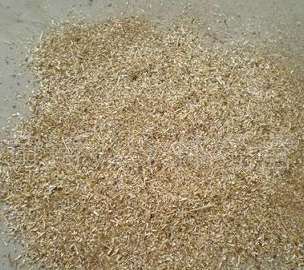 ��ľ�۵�Ʒ�|(zh��)Ҫ��ΰѿ�