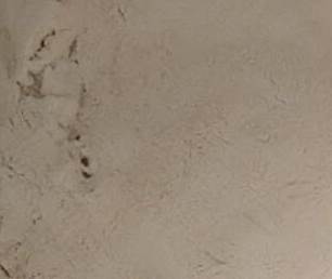 ���{ԭ���������M(j��n)������