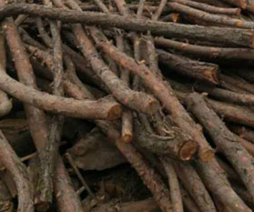 ľ������Щ��(y��u)ȱ�c(di��n)