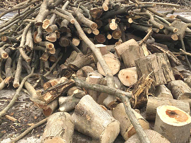 ľ�ĵĻ���������ʲô��